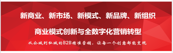 新增长：数字化营销与商业模式创新